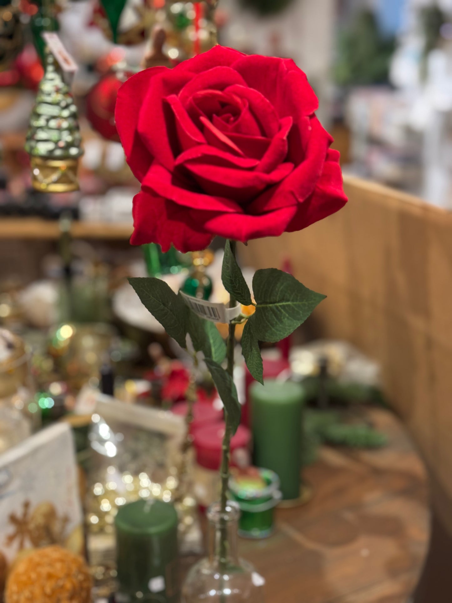 Rose rød langstilket 50 cm Mr Plant