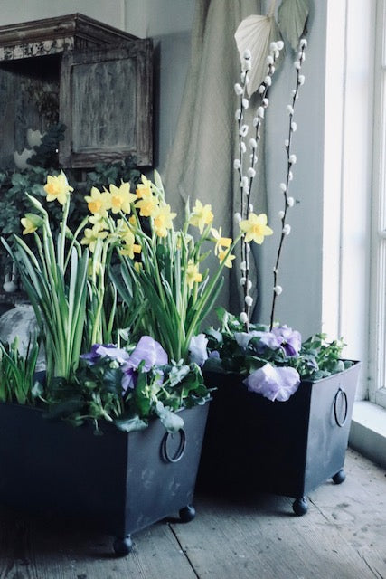 Potter avlange Holmö I am interiør