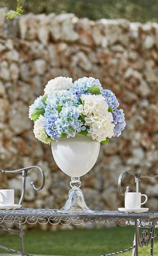 Hortensia lys blå EDG Enzo de Gasperi