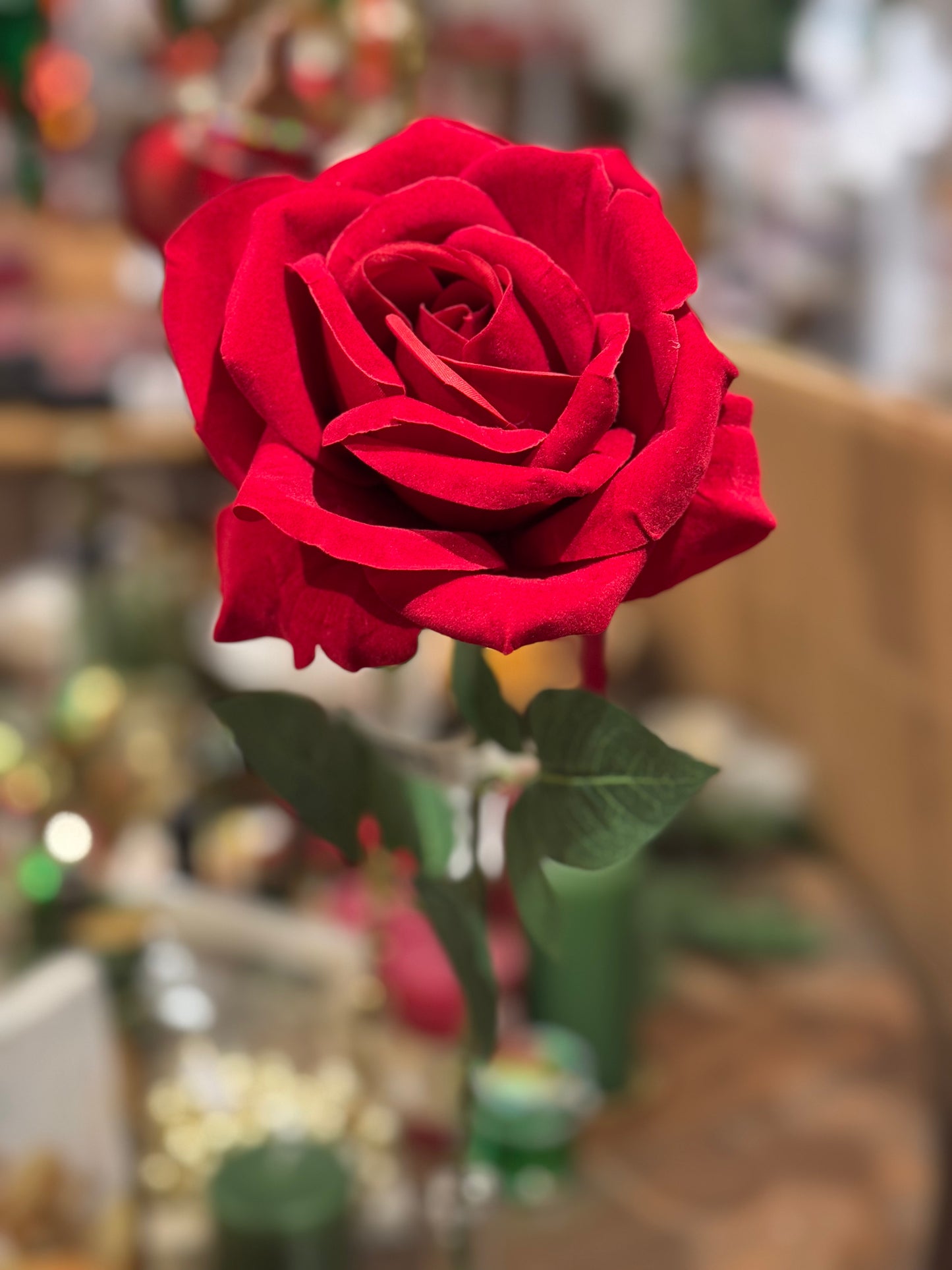 Rose rød langstilket 50 cm Mr Plant