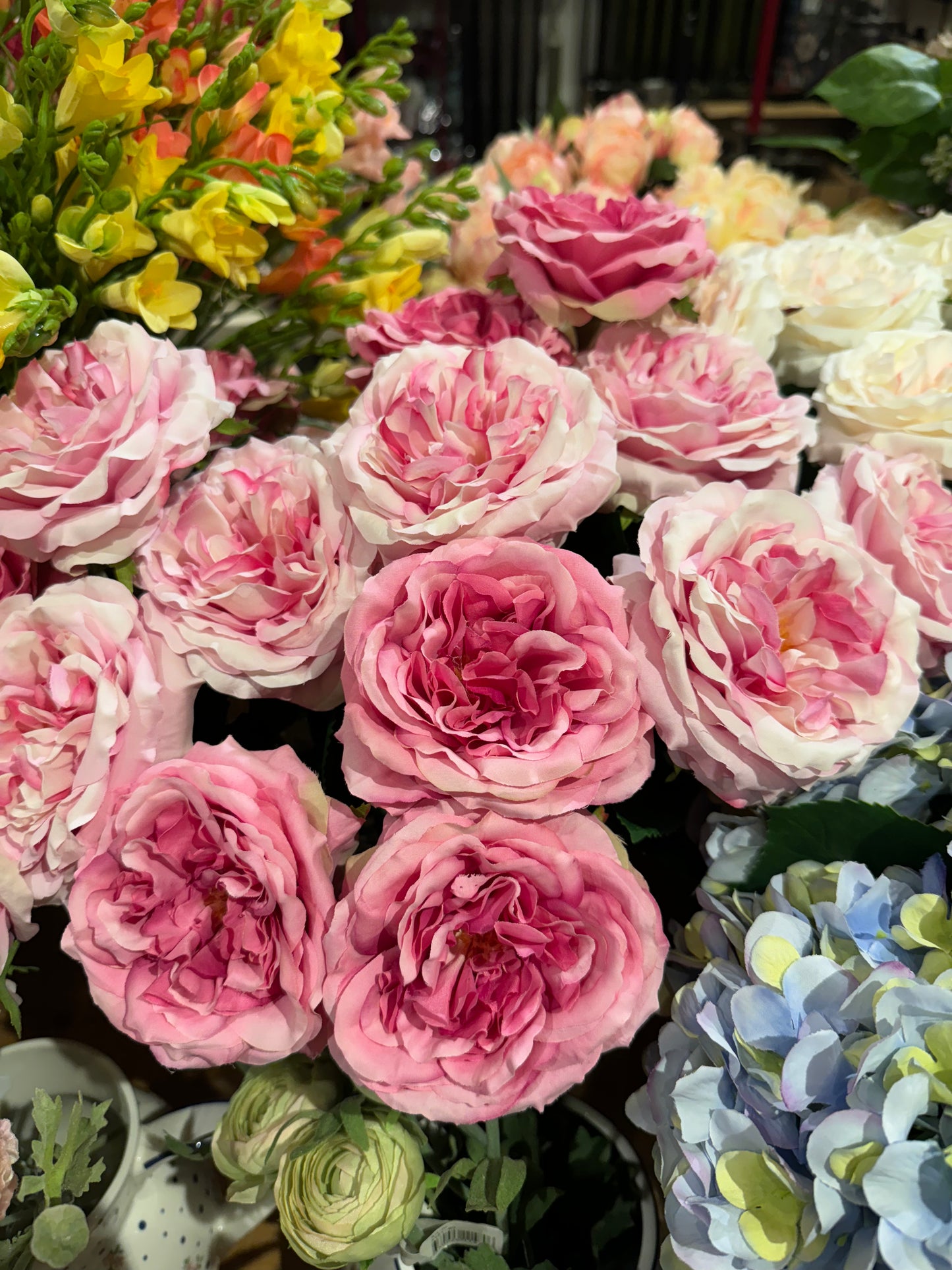 Rose Alma rosa mørk EDG Enzo de Gasperi