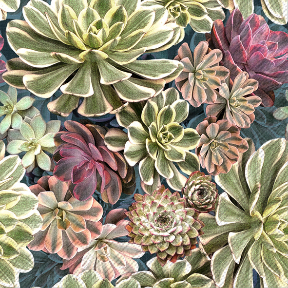 Serviett lunsj sukkulent IHR