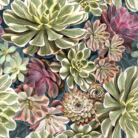 Serviett lunsj sukkulent IHR