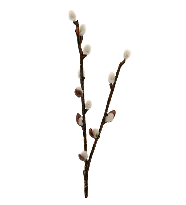 Puselabber gåsunger 35 cm Mr Plant