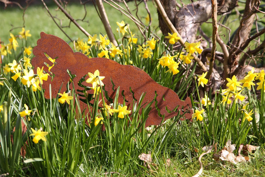 Høne eller hane rust ELD garden