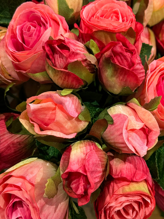 Roser rosa bukett EDG Enzo de Gasperi