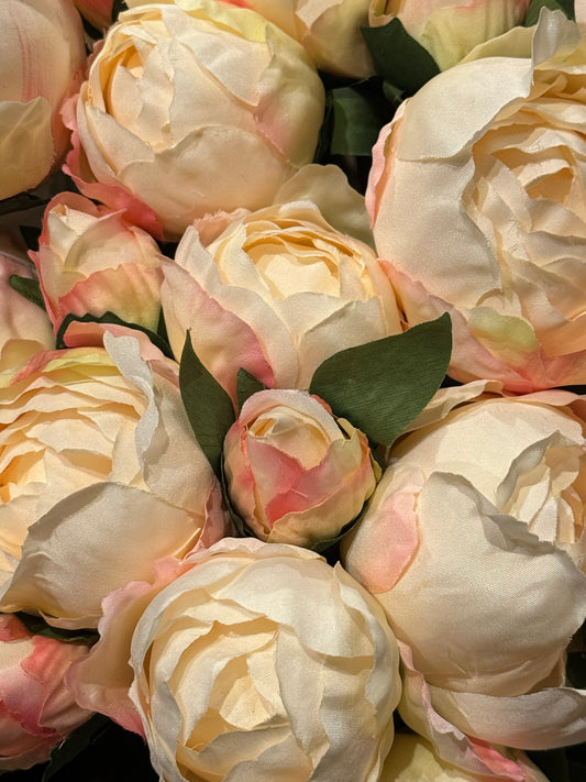 Pioner rosa krem bukett 9stk EDG Enzo de Gasperi