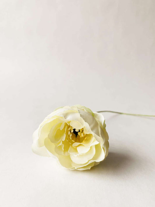 Pion 50 cm Creme Trend design