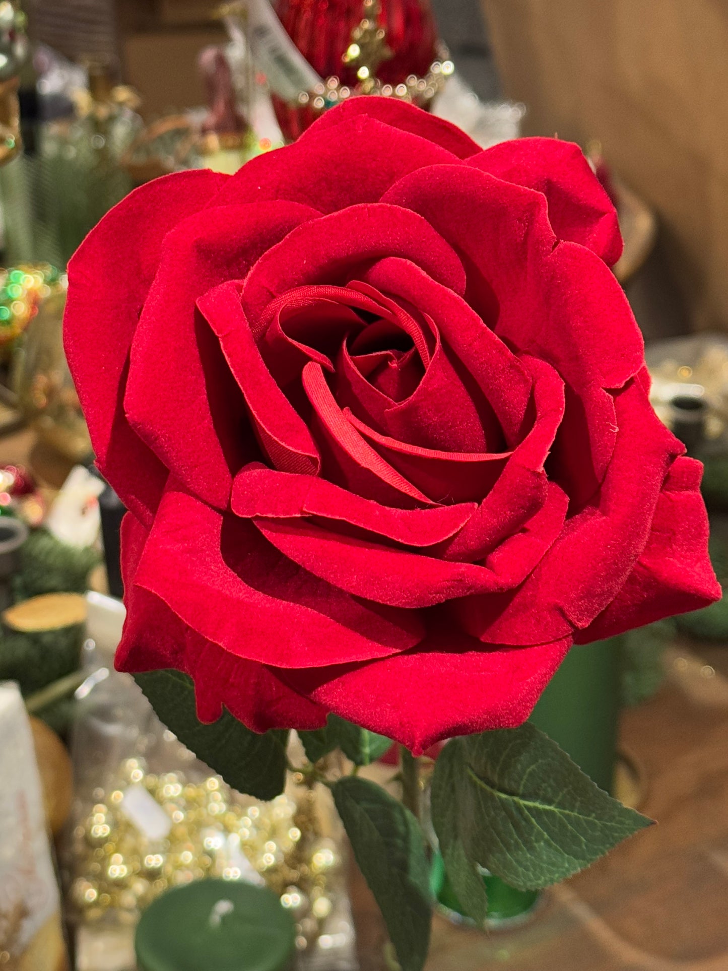 Rose rød langstilket 50 cm Mr Plant