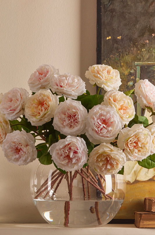 Roser hvit rosa dus Alma EDG Enzo de Gasperi