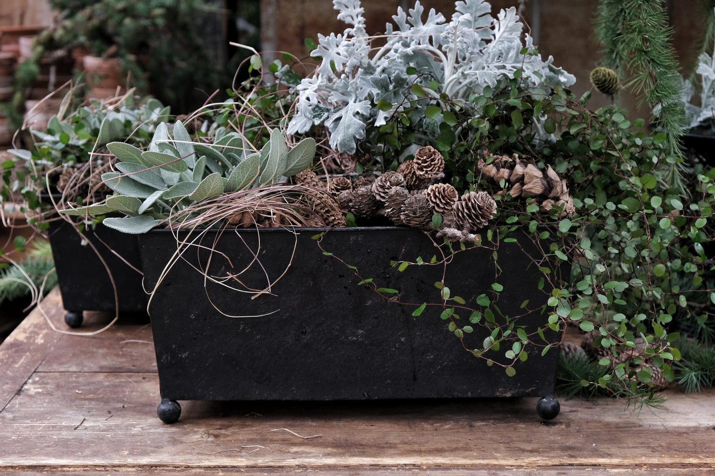 Potter avlange Holmö I am interiør