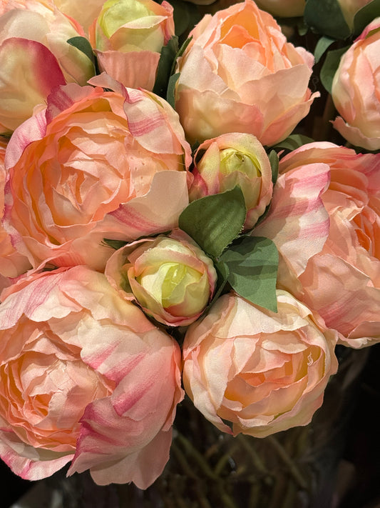 Pioner rosa bukett  9stk EDG Enzo de Gasperi