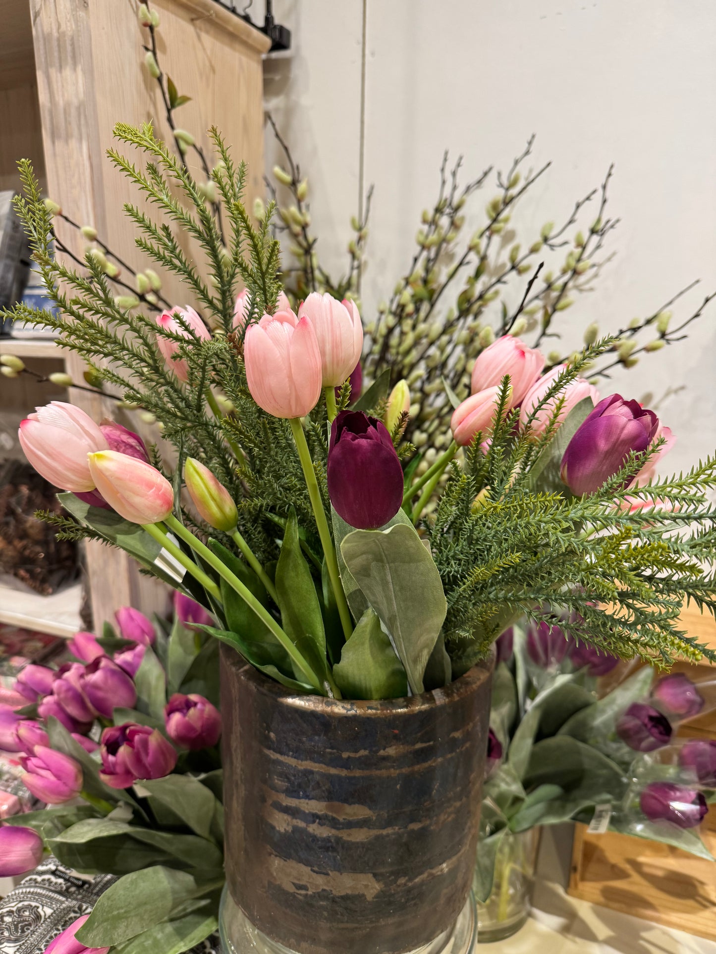 Tulipan lilla mørk Mr Plant