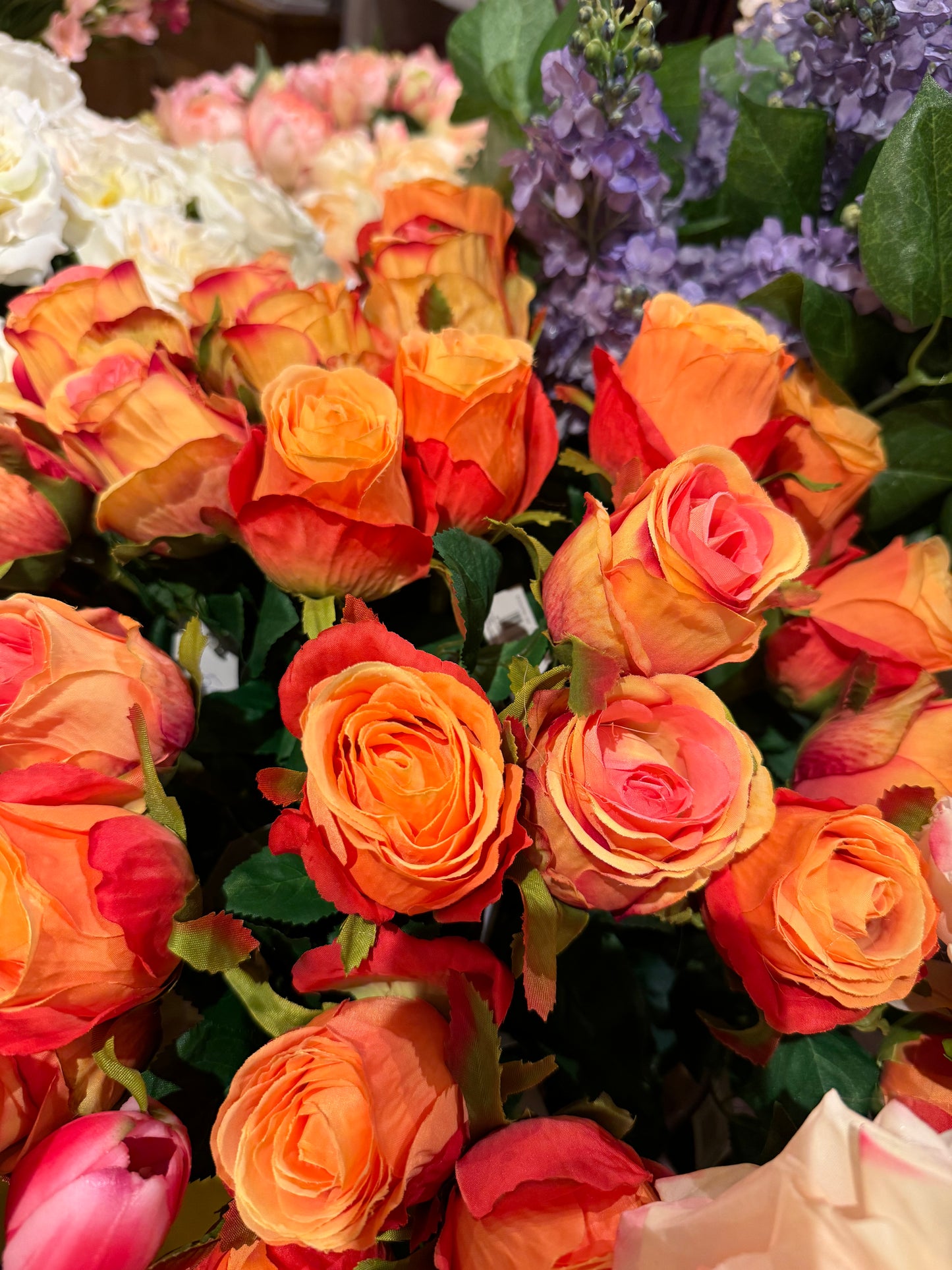 Rose oransje EDG Enzo de Gasperi