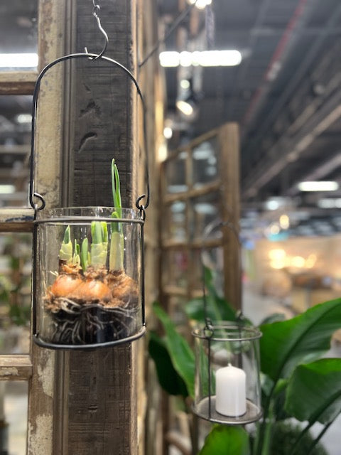 Lykt Hedvig I am interiør