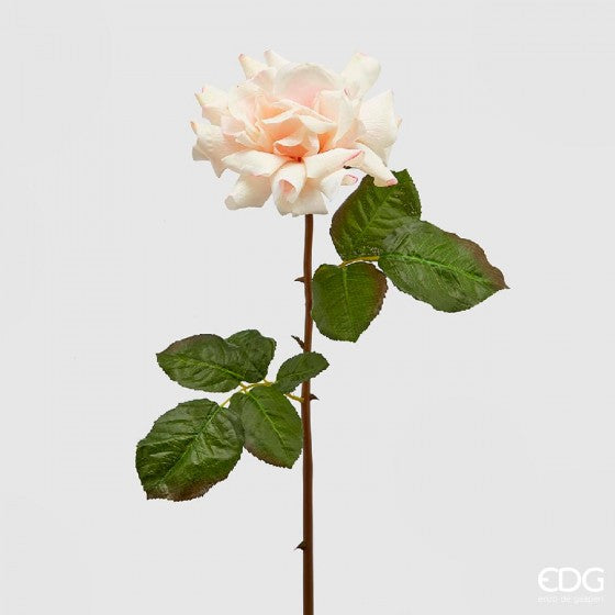 Roser dus rosa EDG Enzo de Gasperi