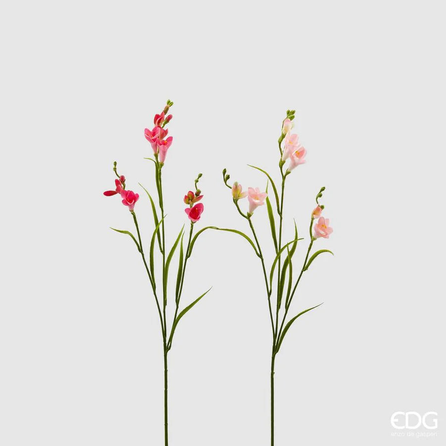 Fresia mørk rosa EDG Enzo de Gasperi