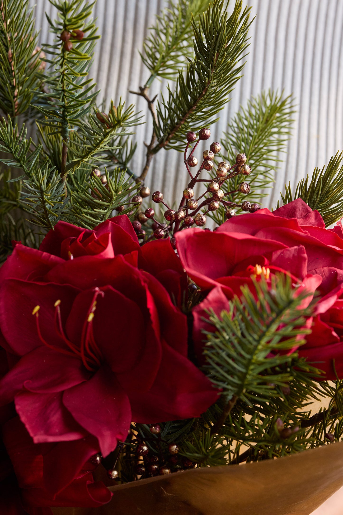 Amaryllis rød 65 cm Mr Plant
