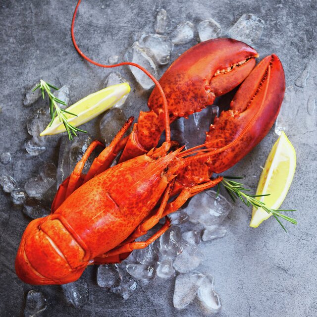 Serviett lunsj skalldyr hummer fresh lobster Ambiente
