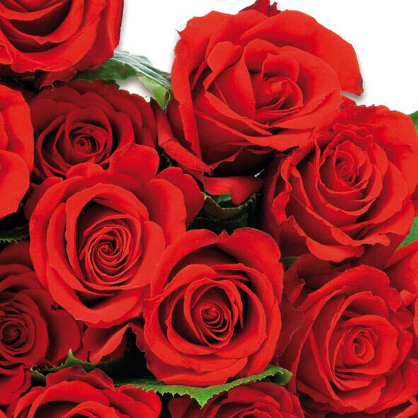 Serviett lunsj roser røde Ambiente