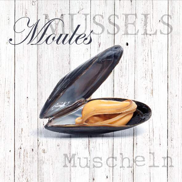 Serviett lunsj skalldyr blåskjell Moules Ambiente