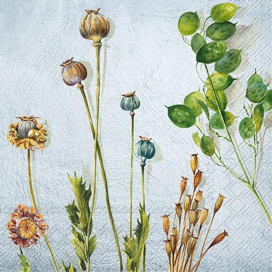 Serviett lunsj Wilbur light bluepapairs IHR