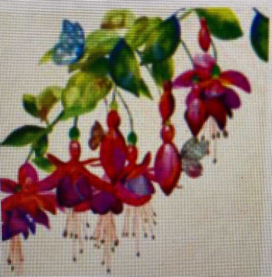 Serviett lunsj Fuchsia Ambiente