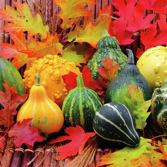 Serviett lunsj grønnsaker gresskar Autumn Pumpkins and leaves Ambiente