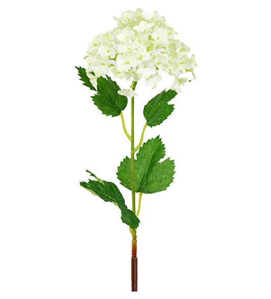 Snøball blomst gren Mr Plant