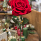 Rose rød langstilket  50 cm Mr Plant