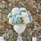 Hortensia lys blå EDG Enzo de Gasperi