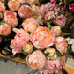 Pioner rosa bukett  9stk EDG Enzo de Gasperi