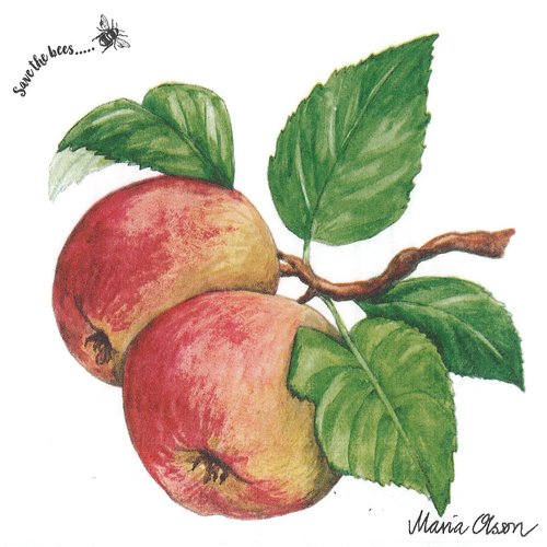 Serviett lunsj frukt epler Apple Duni
