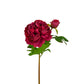 Pioner 65 cm Mr Plant