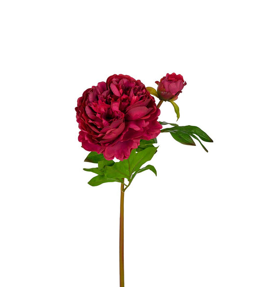 Pioner 65 cm Mr Plant