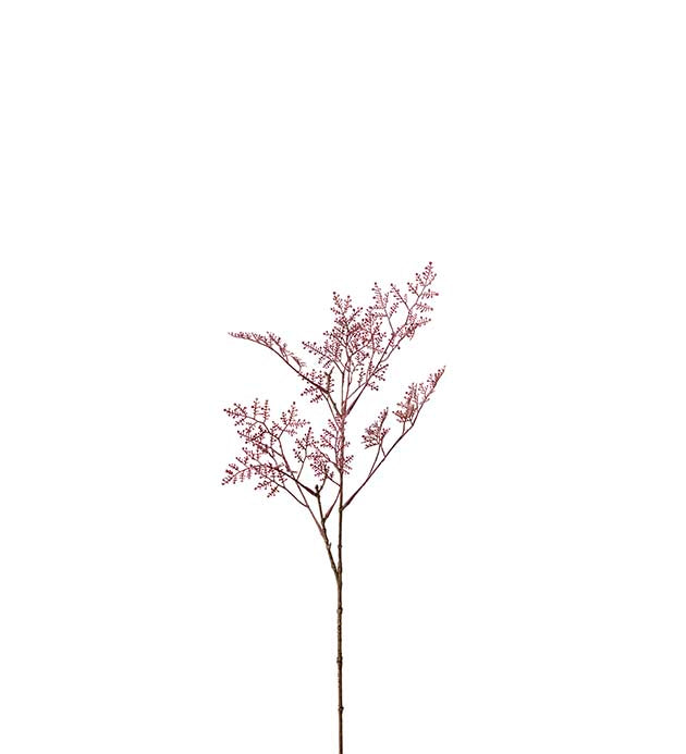 Rosa Limonium kvist 65 cm Mr Plant