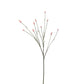 Rosa Pimpinell 80 cm Mr Plant