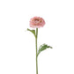 Ranunkler rosa 35 cm Mr Plant