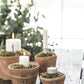 Advent tall 1234  Ib Laursen