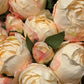 Pioner rosa krem bukett 9stk EDG Enzo de Gasperi
