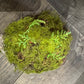 Mosepynt kunstig rund 10 cm