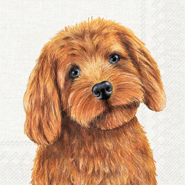 Serviett lunsj Farm Dog Cream IHR