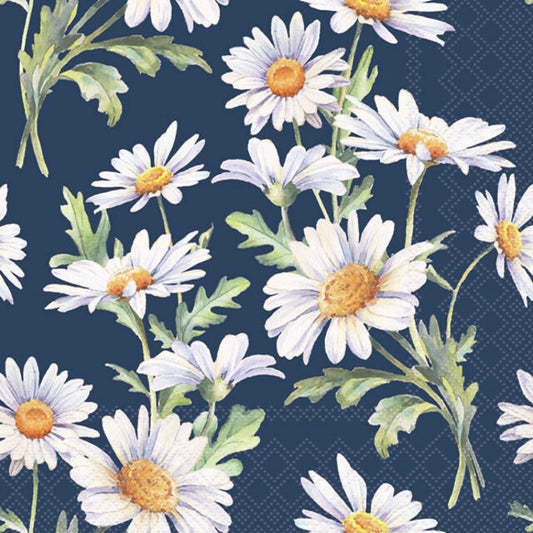 Servietter lunsj Beautiful daisies blue Ambiente