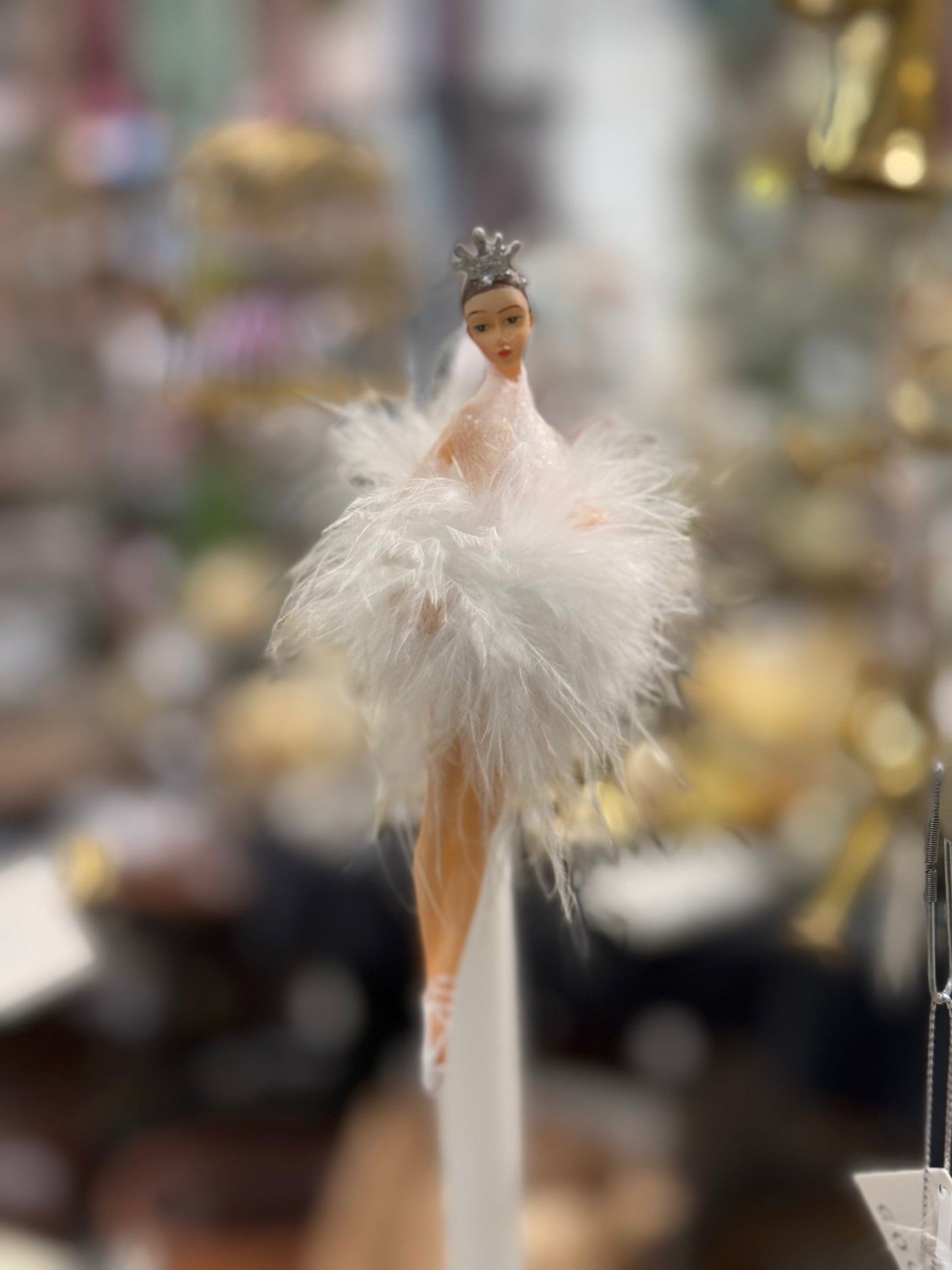 Ballerina Goodwill