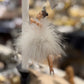 Ballerina Goodwill
