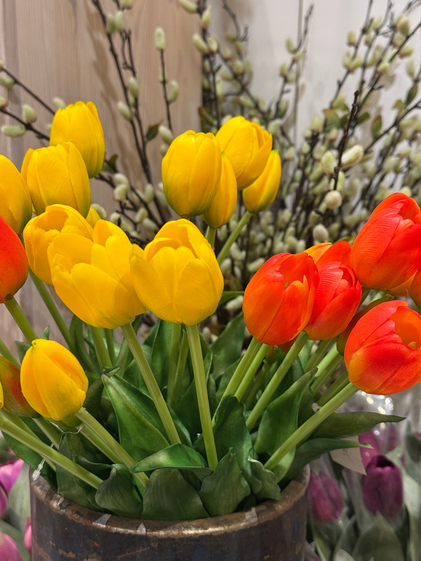 Tulipaner 5 stk gule EDG Enzo de Gasperi