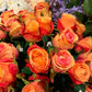 Rose oransje EDG Enzo de Gasperi