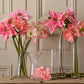 Amaryllis rosa 60 cm Mr Plant