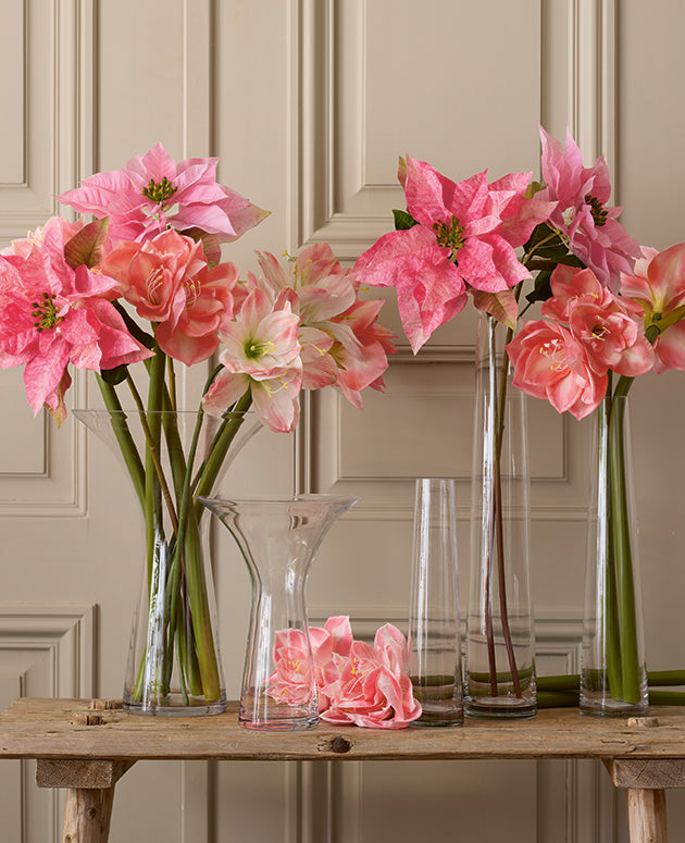 Amaryllis rosa 60 cm Mr Plant