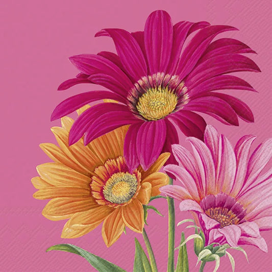 Serviett lunsj Joyful Gerbera Pink IHR